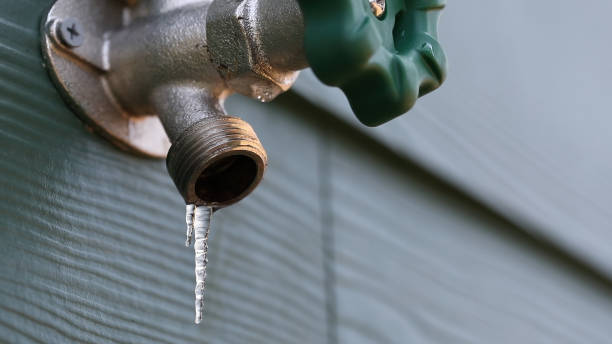 Best Sprinkler Systems  in Voorheesville, NY